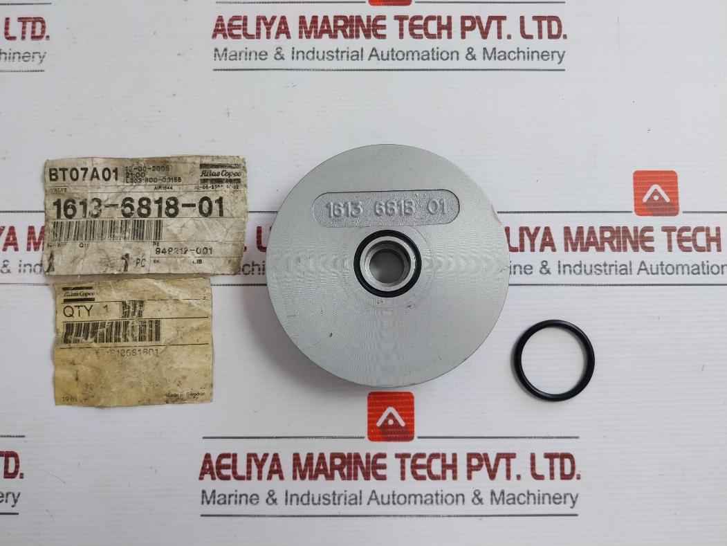Atlas Copco Valve Plate 1613 6818 01