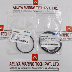 Auma Seal & O-ring Repair Kit Z110.277