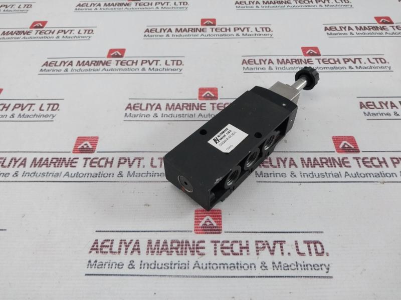 Automatic Valve D2003Aawr-abc-ms-e Solenoid Valve 0909