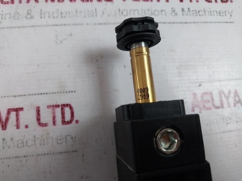 Automatic Valve D2003aawr-abc 5/2 Way Valve With Solenoid Pilot Control 230v