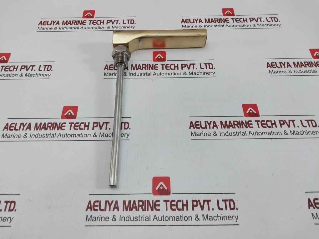Automation Module Thermometer 0-160 C Sika