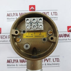 Autronica Gt-1/1 Y5 Bar Pressure Transducer
