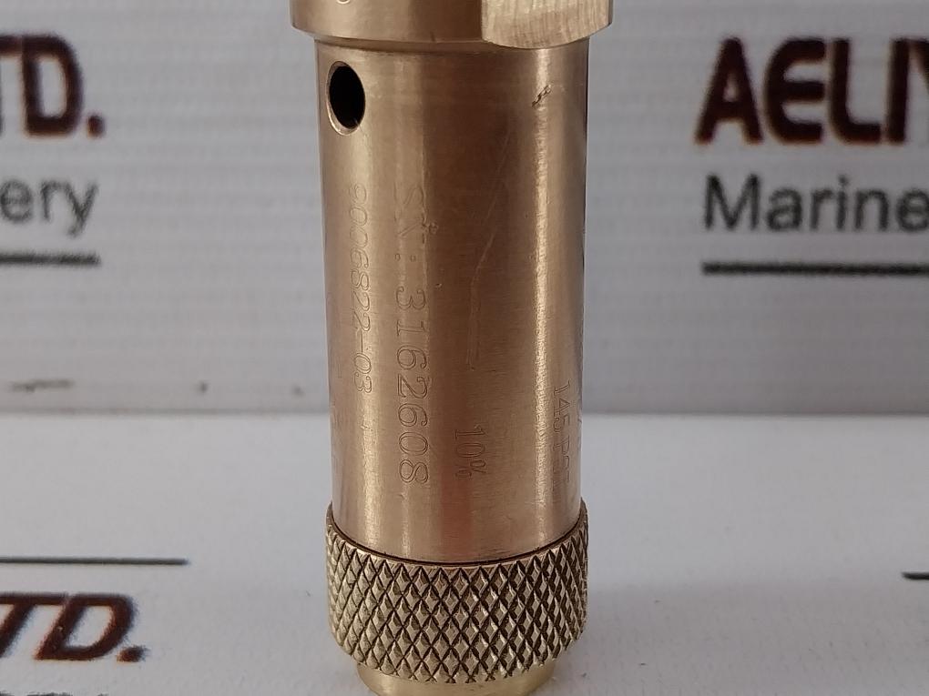 Aw19039…Cw614N Tuv Sv 15-749 Safety Valve