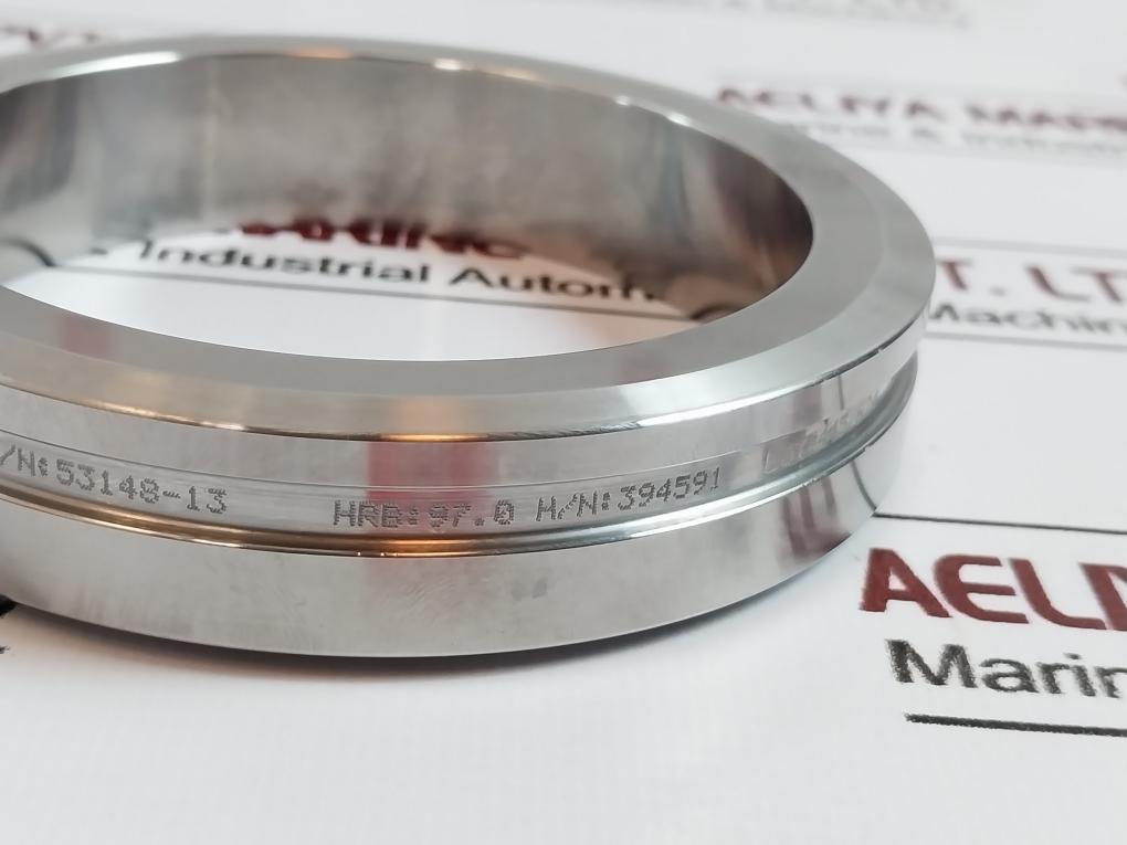 Axon 5620-1541-713-01 Seat Gate Valve 394591