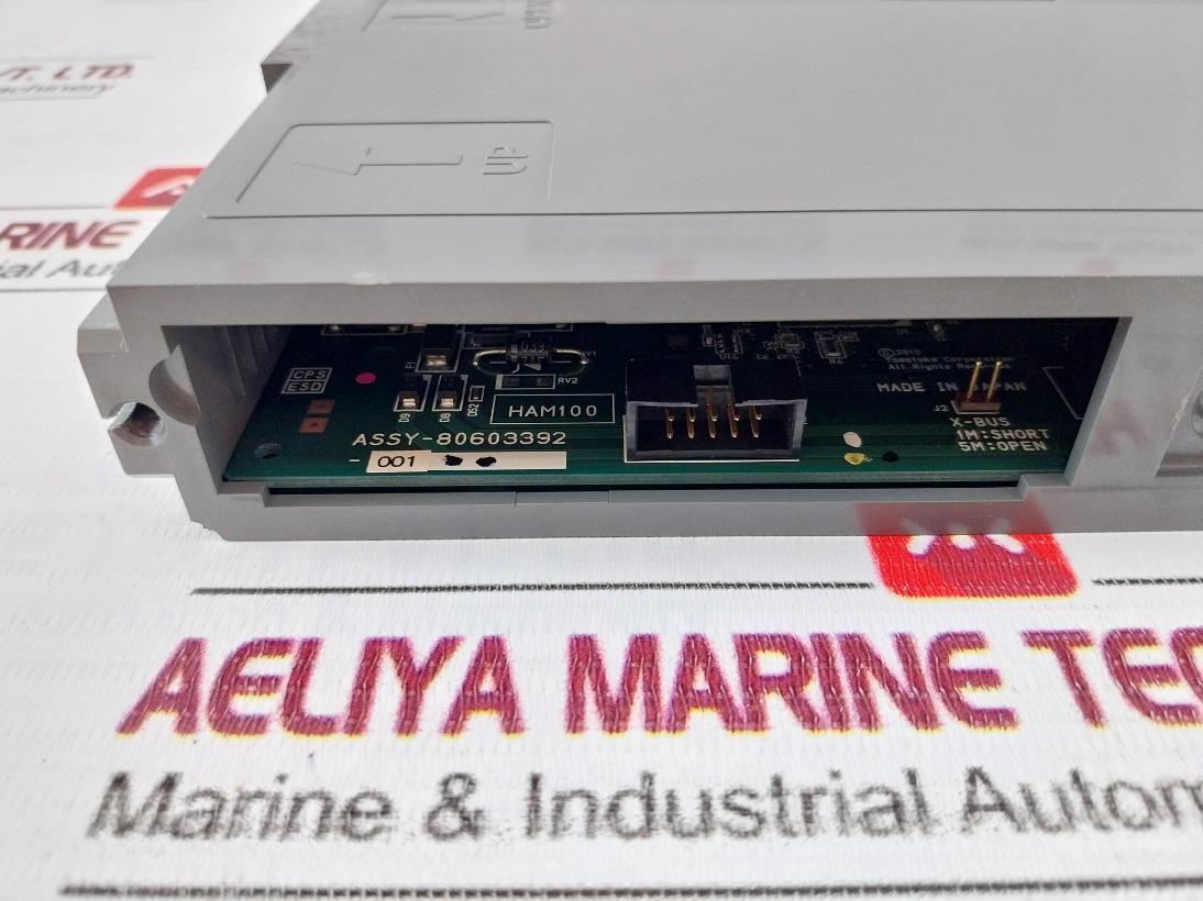 Azbil Hd-ham100-5 I/O Module System With Cabling Set Has-rsl50 24V 0.48A