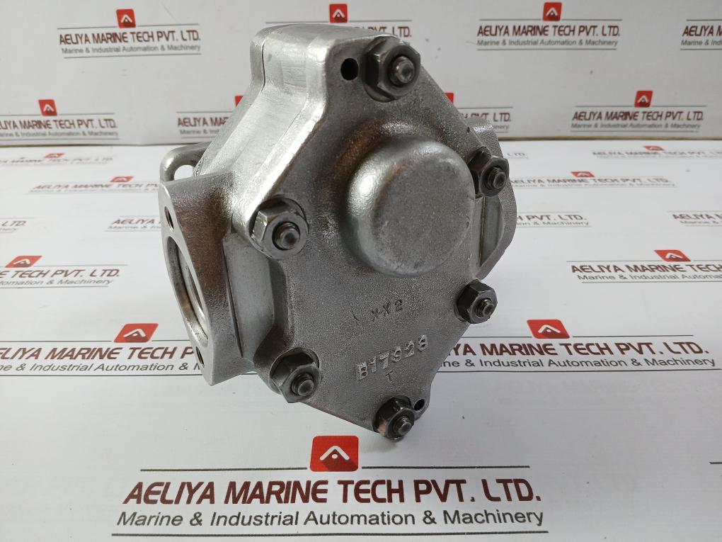 B17928 Oil Pump Assembly B17927