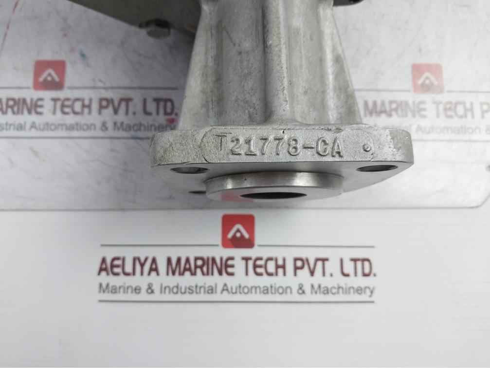 B17928 Oil Pump Assembly T21778-ca