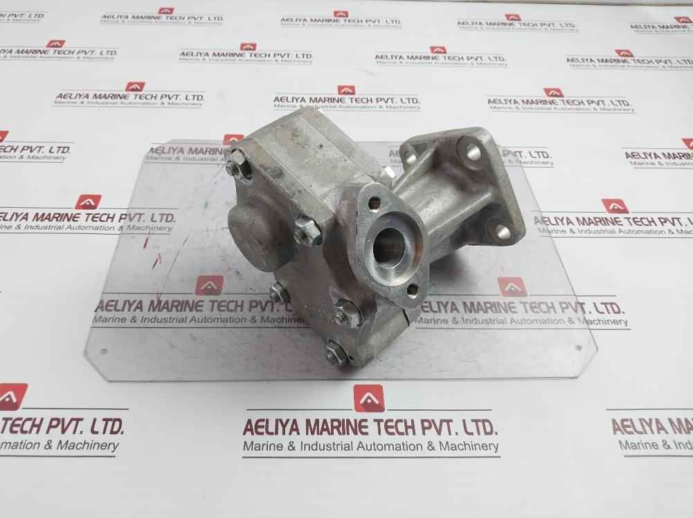 B17928 Oil Pump Assembly T21778-ca