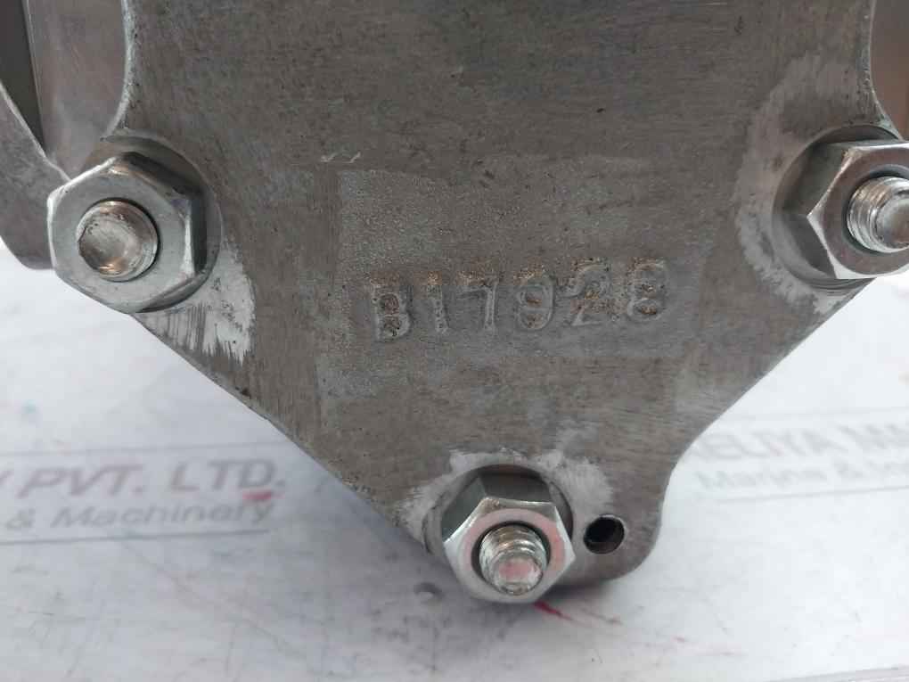 B17928 Oil Pump Assembly T21778-ca