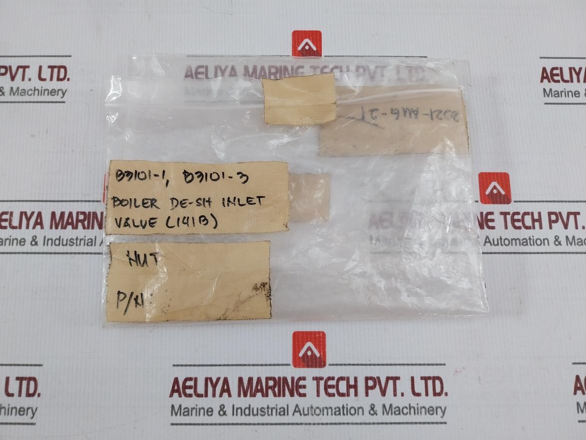 B3101-1 Nut Boiler De-sh Inlet Valve (141B)
