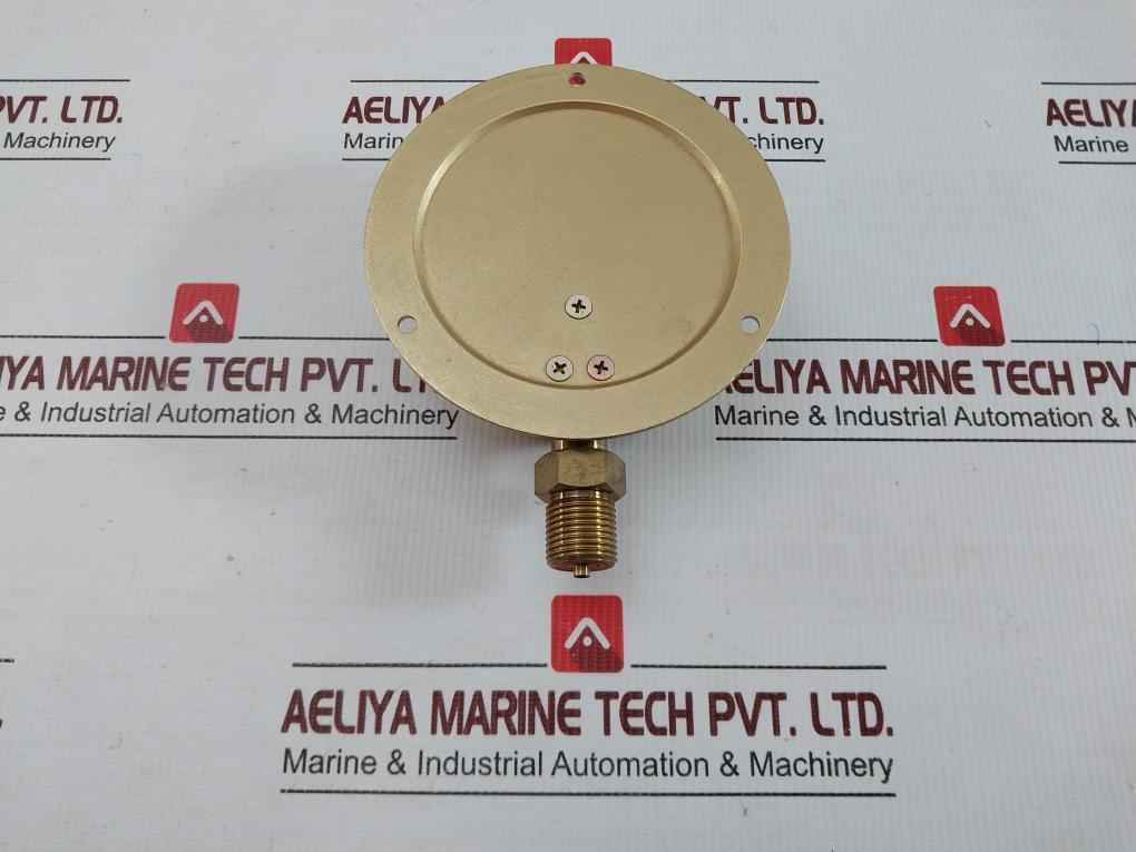 B S Pressure Gauge 0-2 Mpa Daito Keiki Seisakusho