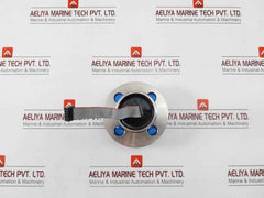 Badotherm 50049716C012 12G917 Diaphragm Seal Pressure Transmitter