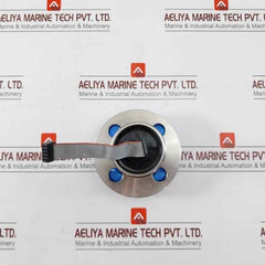 Badotherm 50049716C012 12G917 Diaphragm Seal Pressure Transmitter
