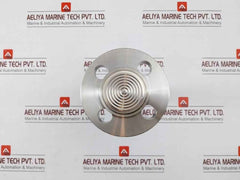 Badotherm 50049716C012 12G917 Diaphragm Seal Pressure Transmitter