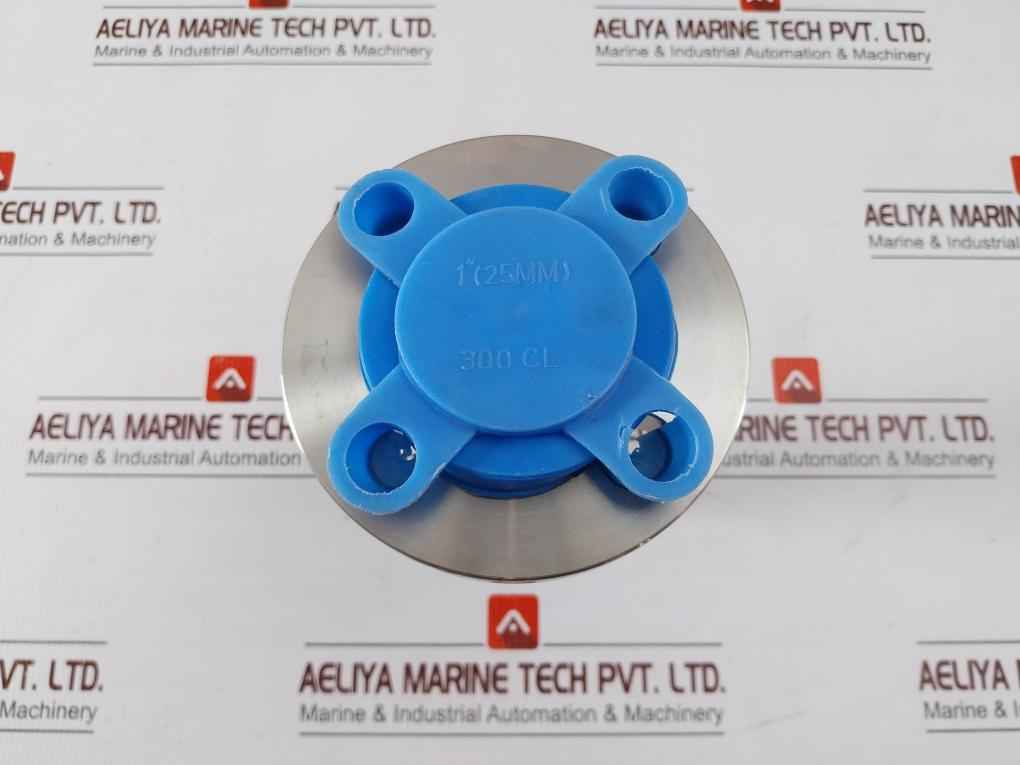 Badotherm 50049716C012 12I-014 Diaphragm Seal Pressure Transmitter