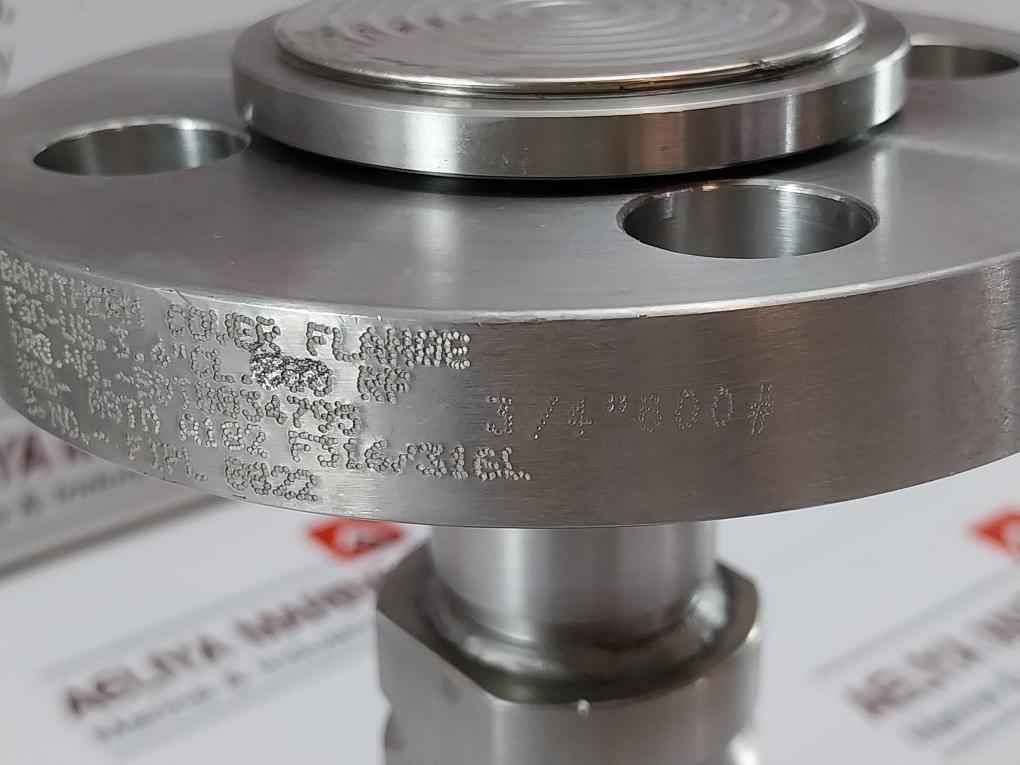 Badotherm 50049716C012 12I-014 Diaphragm Seal Pressure Transmitter
