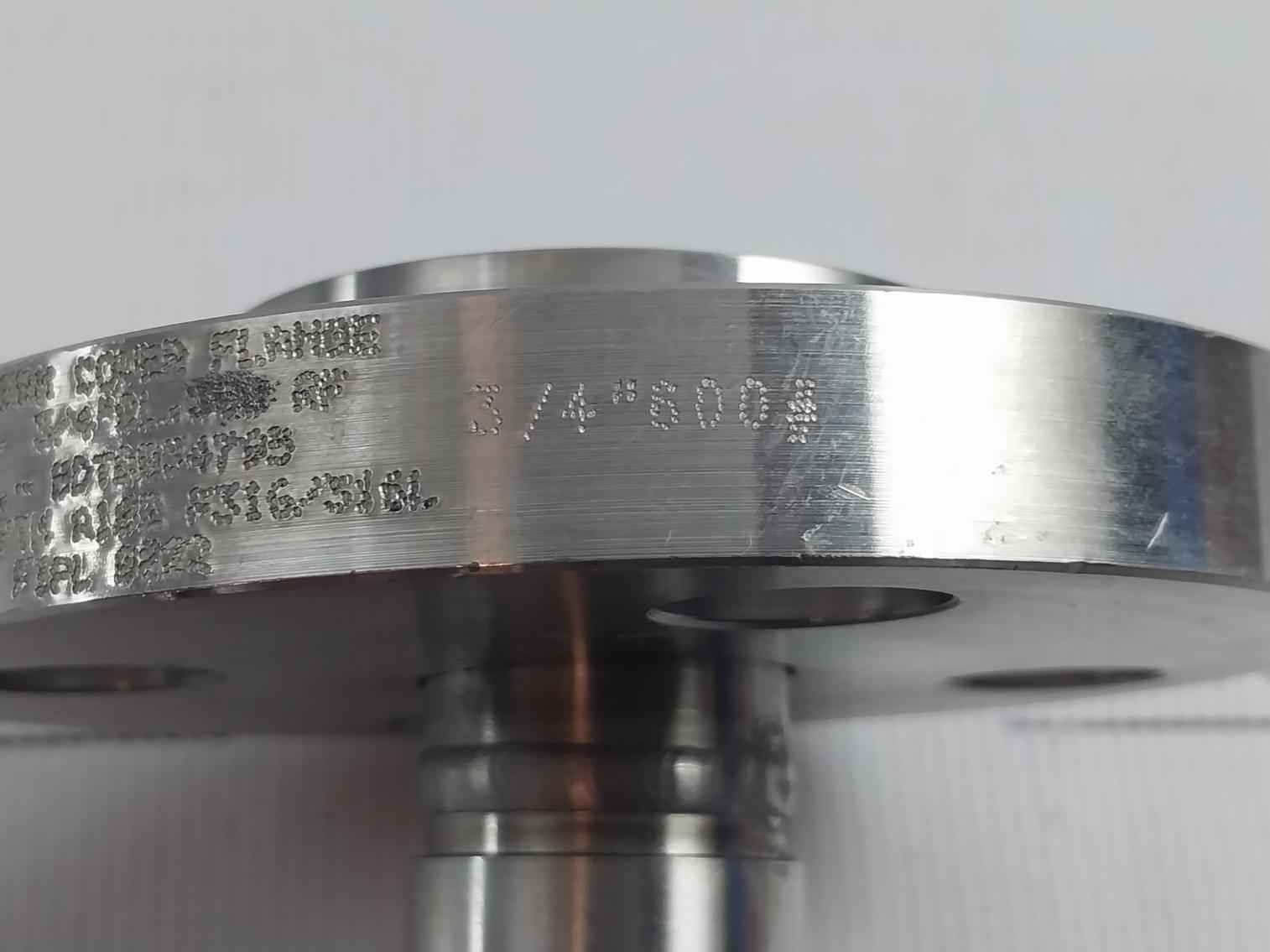 Badotherm 50049716C012 Flanged Diaphragm Seal Bdt0034795 300 Cl