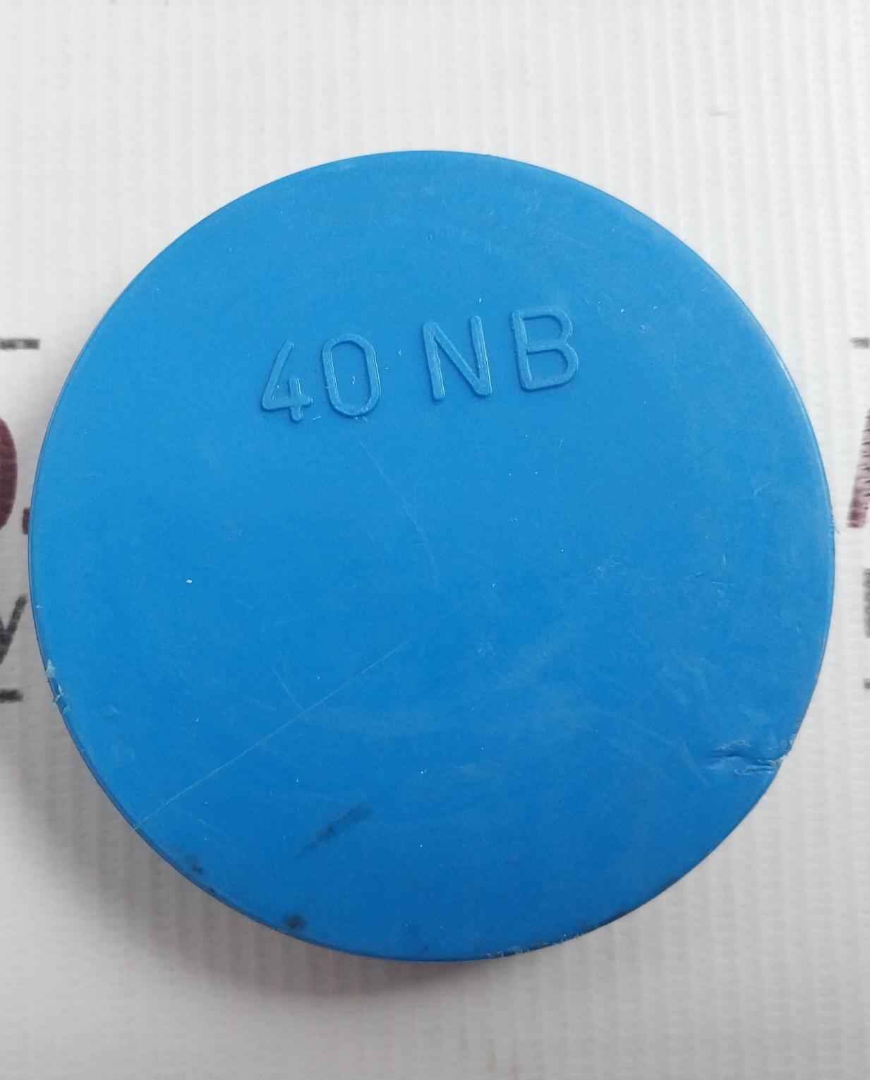 Badotherm 50049716C012 Flanged Diaphragm Seal Bdt0034795 300 Cl