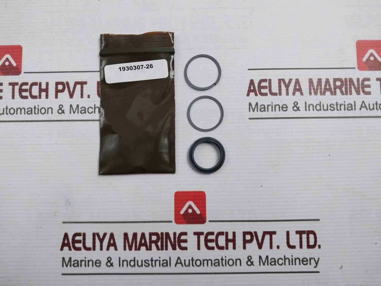 Baker Hughes 20-507013 Seal Kit Sl 1/2 Spm Valve Rev C