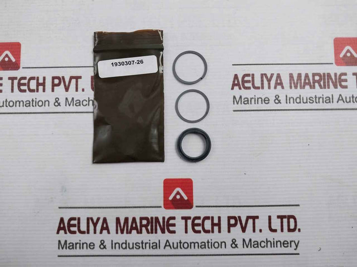 Baker Hughes 20-507013 Seal Kit Sl 1/2 Spm Valve Rev C