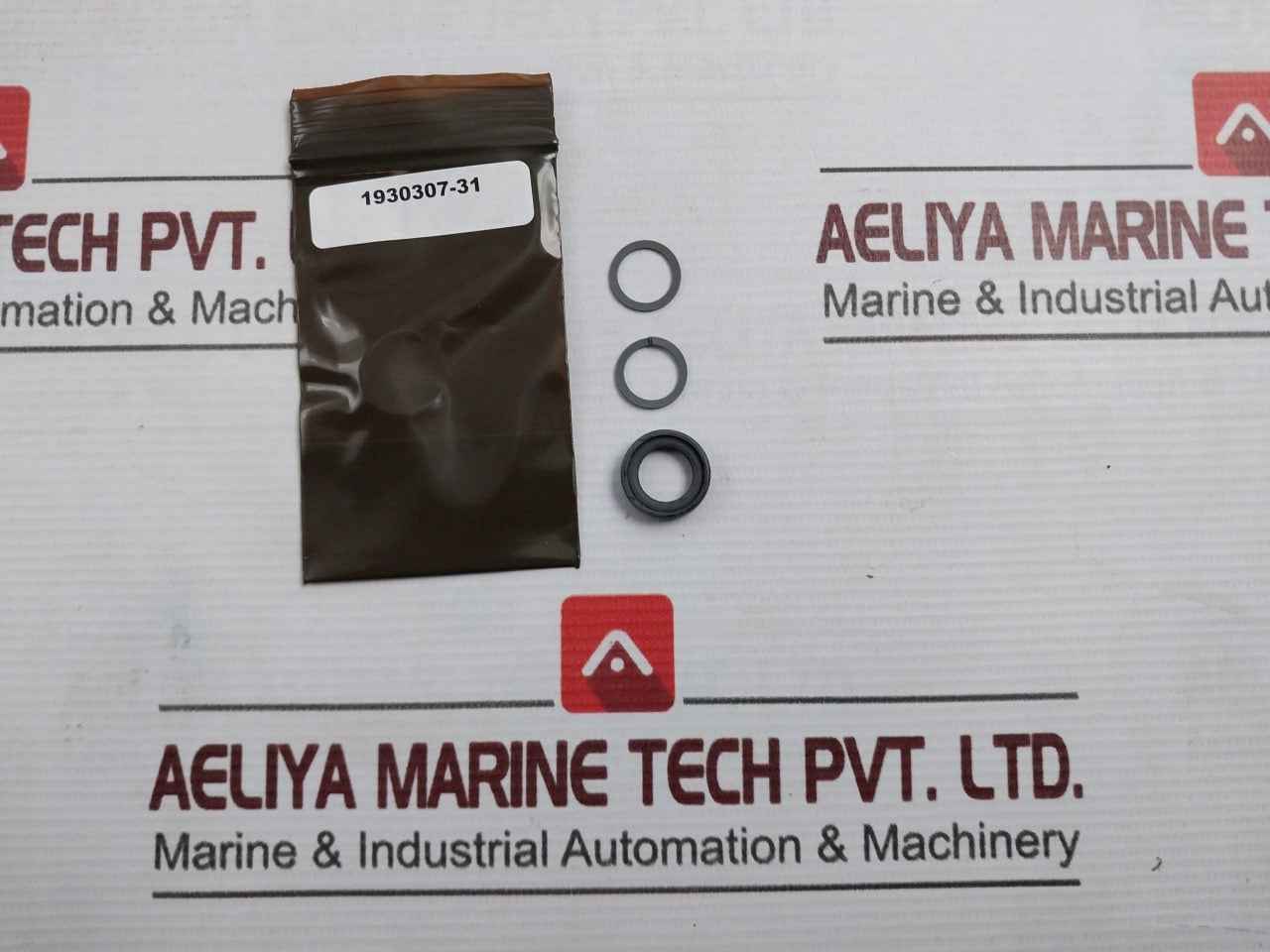 Baker Hughes 20-507013 Seal Kit Sl 1/2 Spm Valve Rev C