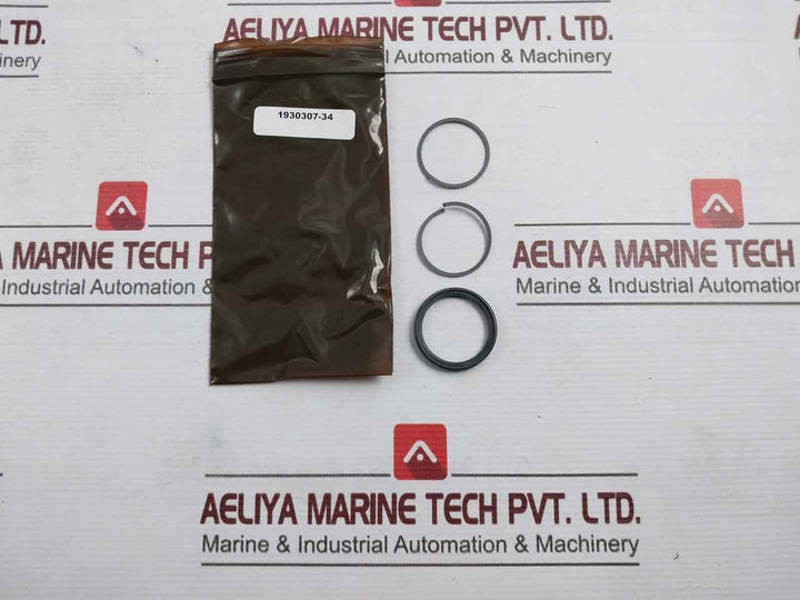 Baker Hughes 20-507013 Seal Kit Sl 1/2 Spm Valve Rev C