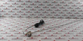 Balluff Btl5-xxx-mxxxx-x-dexx-xxxx Micropulse Transducer Btl0F10 10M