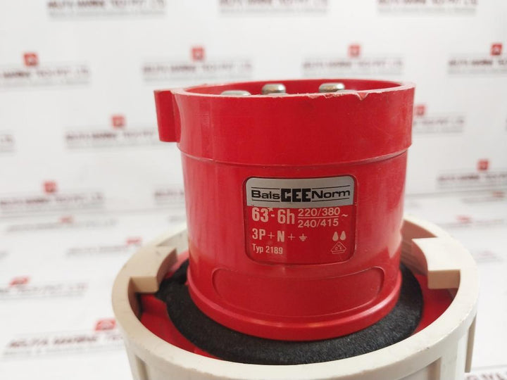 Bals 2189 Plug - With Te Screw Terminal 220/380V