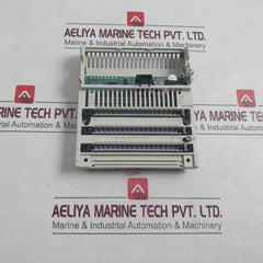 Barber-colman Dsdo-16000-000-0-00 I/O Base 24Vdc