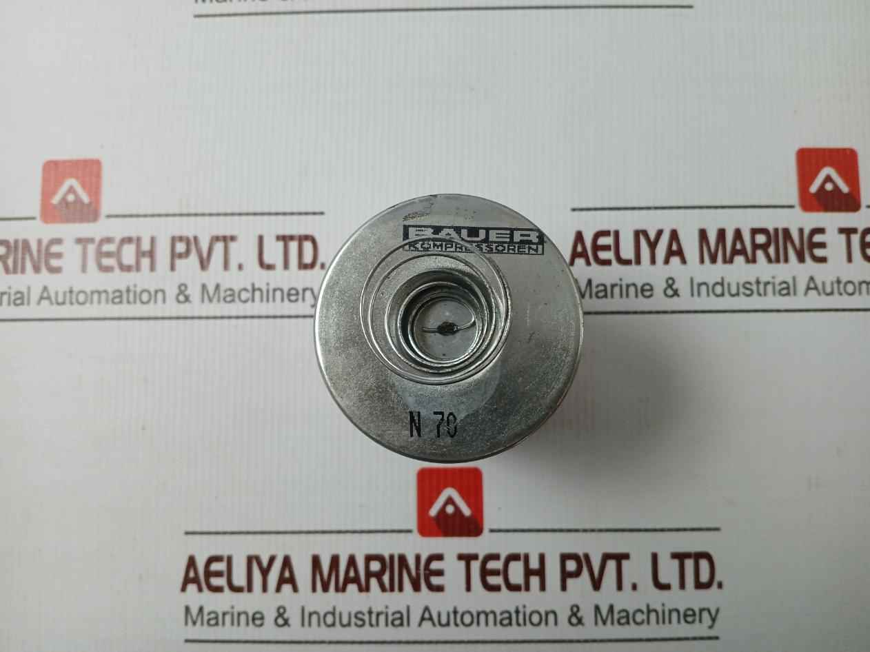 Bauer Kompressoren N 70 Air Filter Element