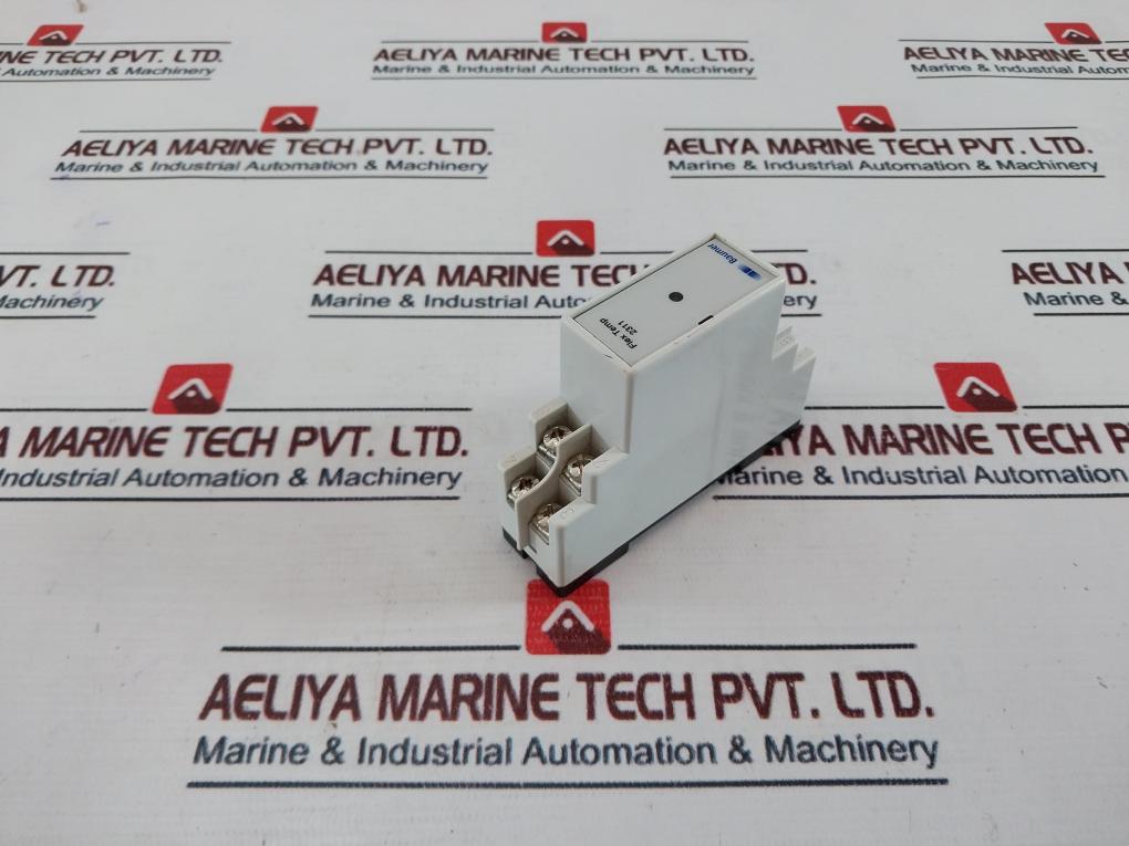 Baumer 2311 Temperature Converter