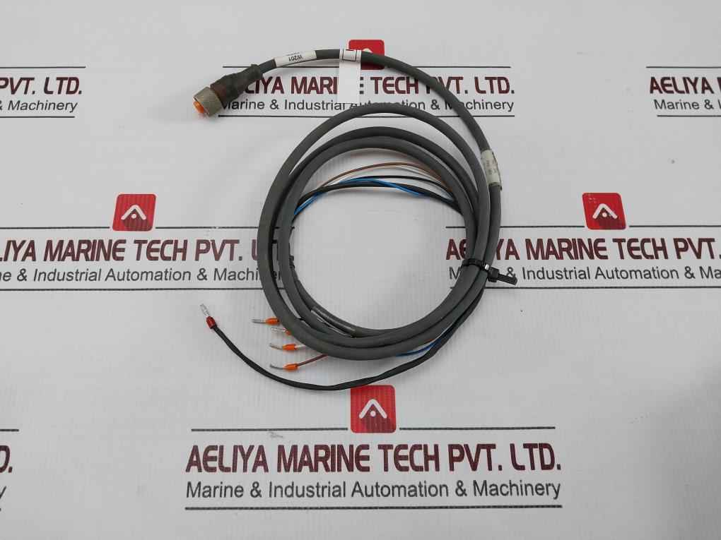 Belden Rkt 4-288/4 P1 Standard Sensor/actuator Single-ended Cordset Meter 1.5