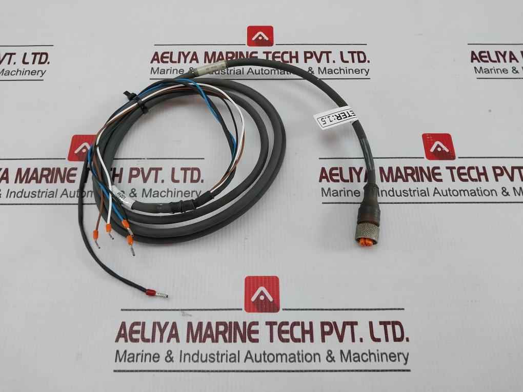 Belden Rkt 4-288/4 P1 Standard Sensor/actuator Single-ended Cordset Meter 1.5