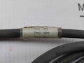Belden Rkt 4-288/4 P1 Standard Sensor/actuator Single-ended Cordset Meter 1.5