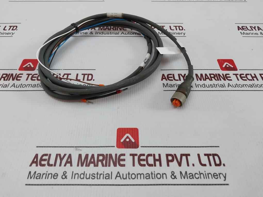 Belden Rkt 4-288/4 P1 Standard Sensor/actuator Single-ended Cordset Meter 2