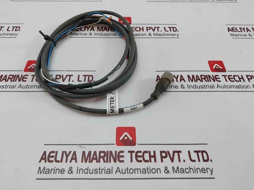 Belden Rkt 4-288/4 P1 Standard Sensor/actuator Single-ended Cordset Meter 2