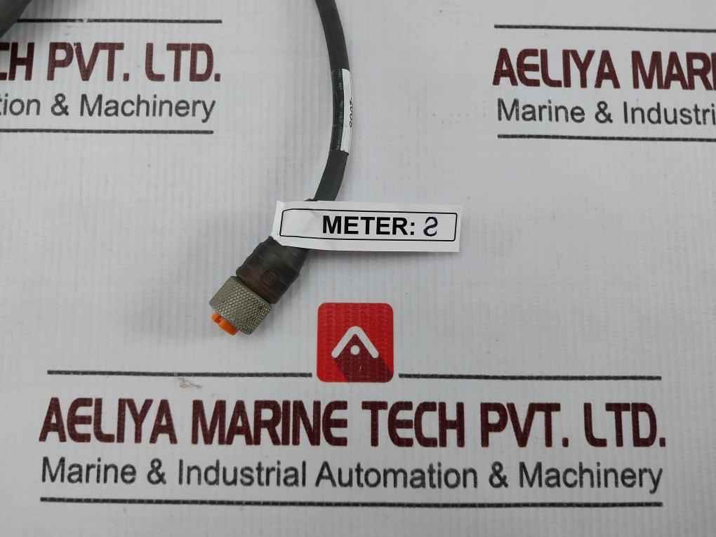 Belden Rkt 4-288/4 P1 Standard Sensor/actuator Single-ended Cordset Meter 2