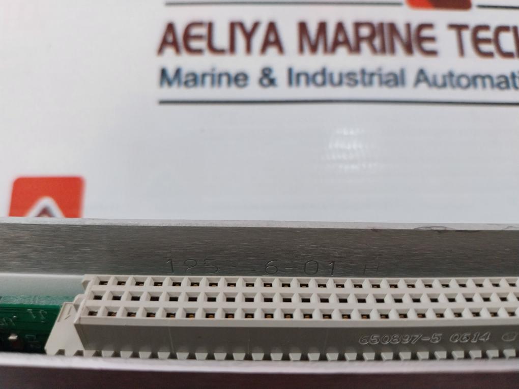 Bently Nevada 128229-01 I/O Module