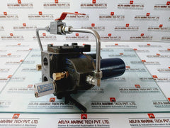 Bhagwati Filter 25D90G100 Duplex Filter 220V 0.5A