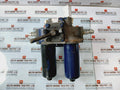 Bhagwati Filter 25D90G100 Duplex Filter 220V 0.5A