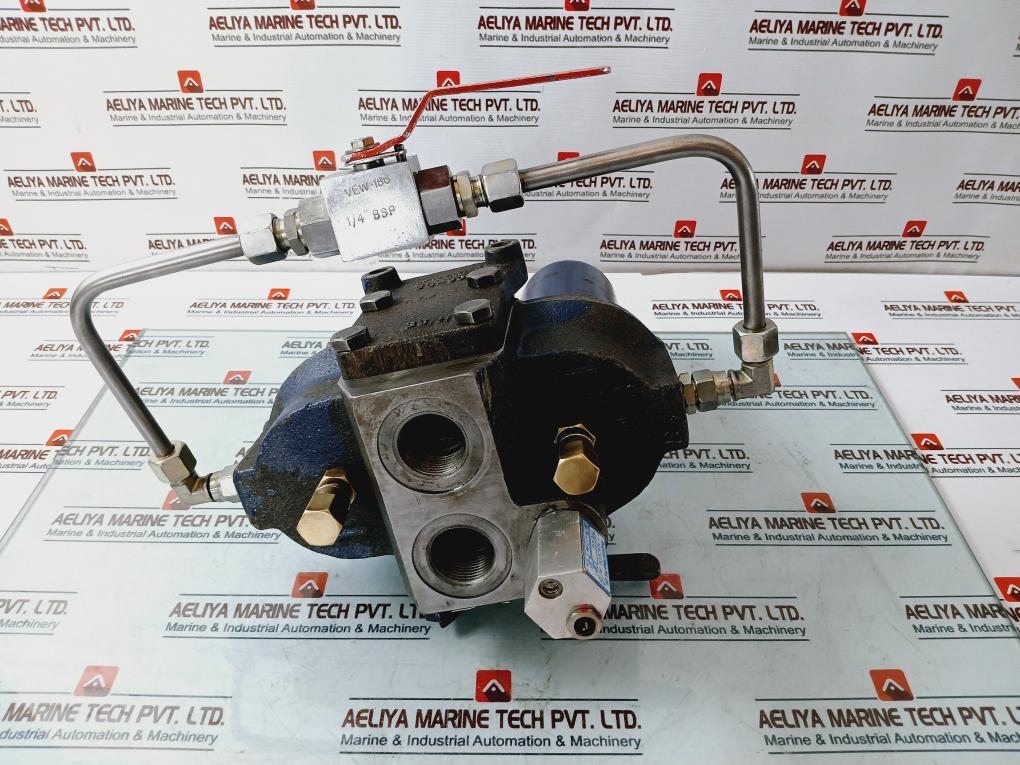 Bhagwati Filter 25D90G100 Duplex Filter 220V 0.5A