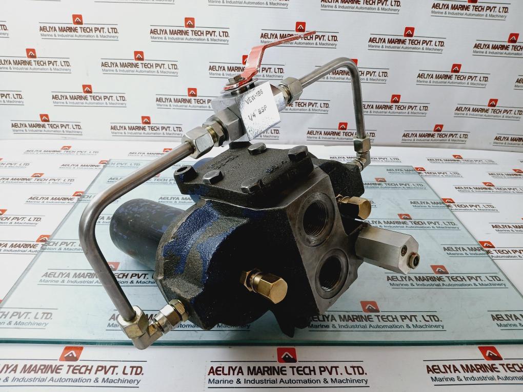 Bhagwati Filter 25D90G100 Duplex Filter 220V 0.5A