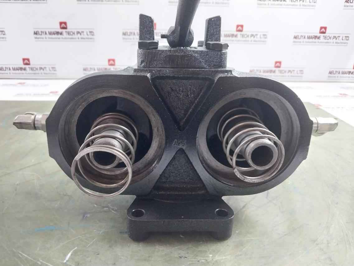 Bhagwati Filters 25D90G100 Dual Hydraulic Filter With Indicator 1/4" Bsp