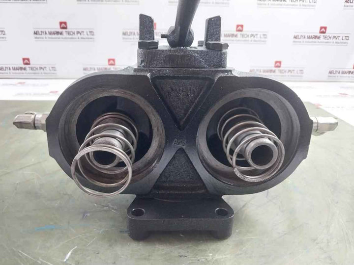 Bhagwati Filters 25D90G100 Dual Hydraulic Filter With Indicator 1/4