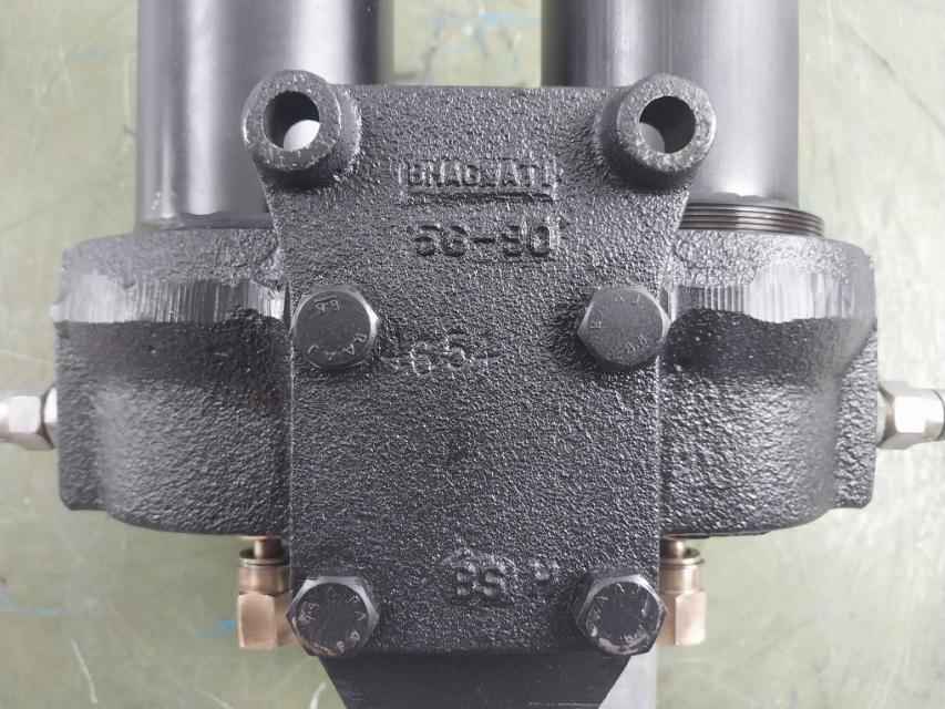 Bhagwati Filters 25D90G100 Dual Hydraulic Filter With Indicator 1/4