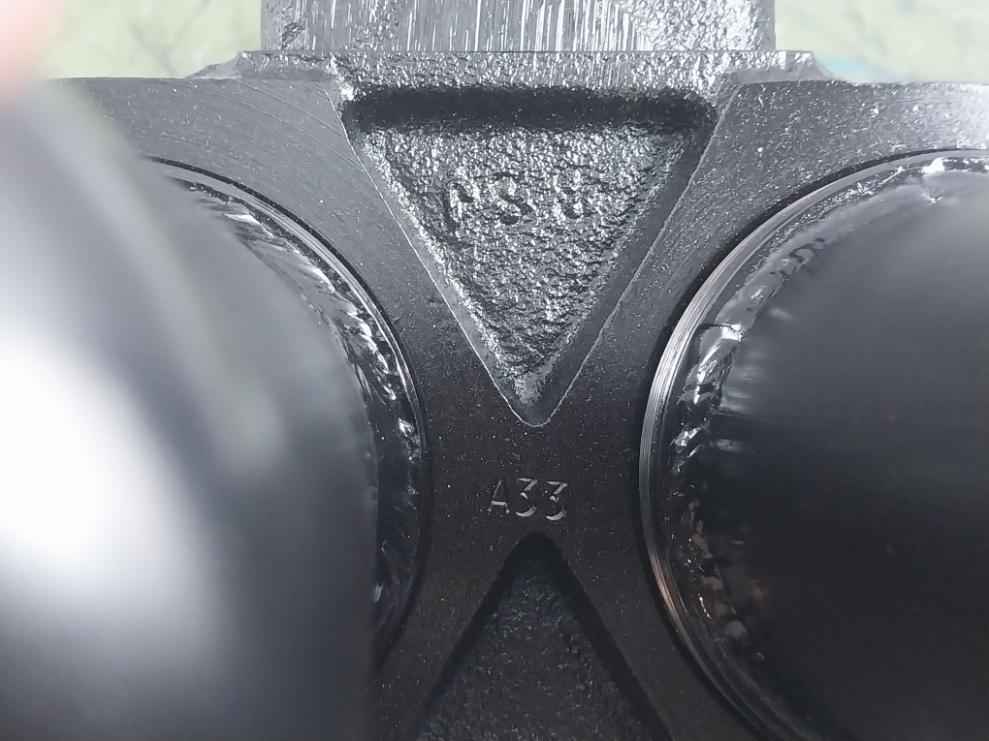 Bhagwati Filters 25D90G100 Dual Hydraulic Filter With Indicator 1/4