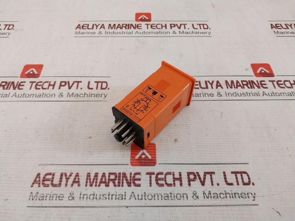 Bircher Srb Timer 24-48V Ac/Dc 1,5Va 6A/250Vac 0,1S-10 Min