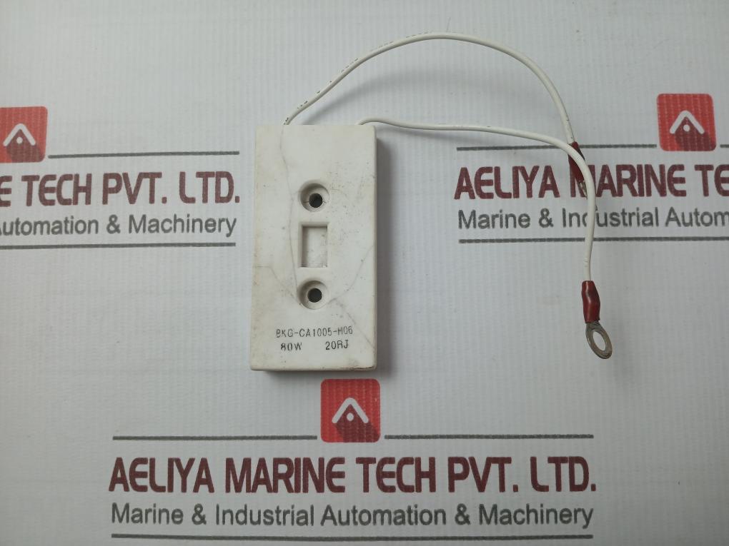 Bkg-ca1005-h06 Resistor 80W