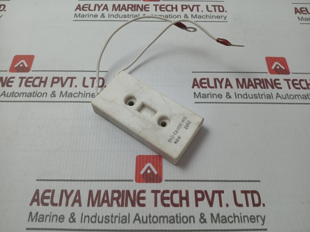 Bkg-ca1005-h06 Resistor 80W