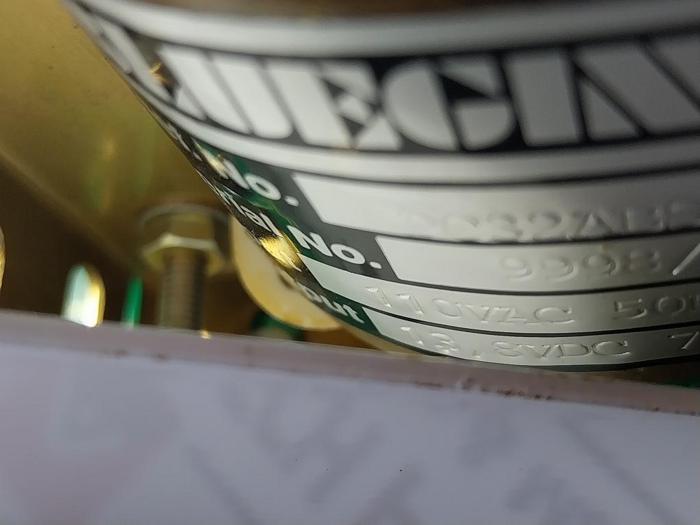 BLUE GINGER PC32ABS13.BV7A Circuit Board 110 Vac 50hz 1ph